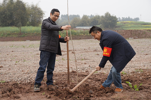 DSC00484_看图王.jpg
