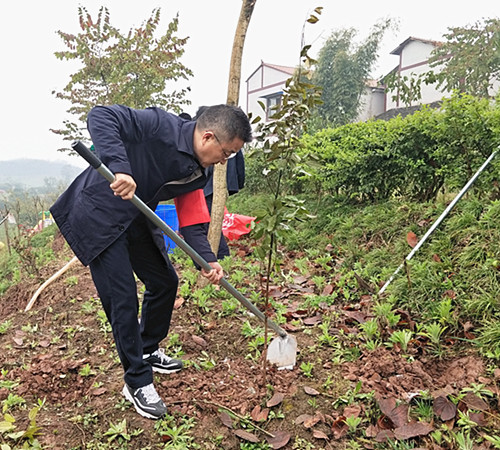 植树刘_副本.jpg