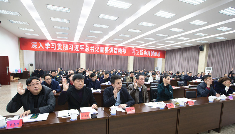 执常委举手_副本.jpg