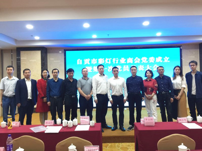 彩灯党委2_副本.jpg