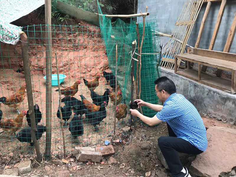 图片3_副本.png