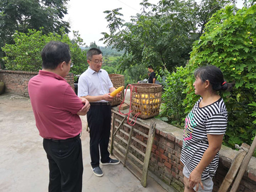 书记去杨柳村_副本.jpg