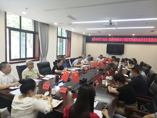 市工商联组织全市彩灯行业推进创新驱动引领超常跨越和高质量发展座谈会_副本.jpg