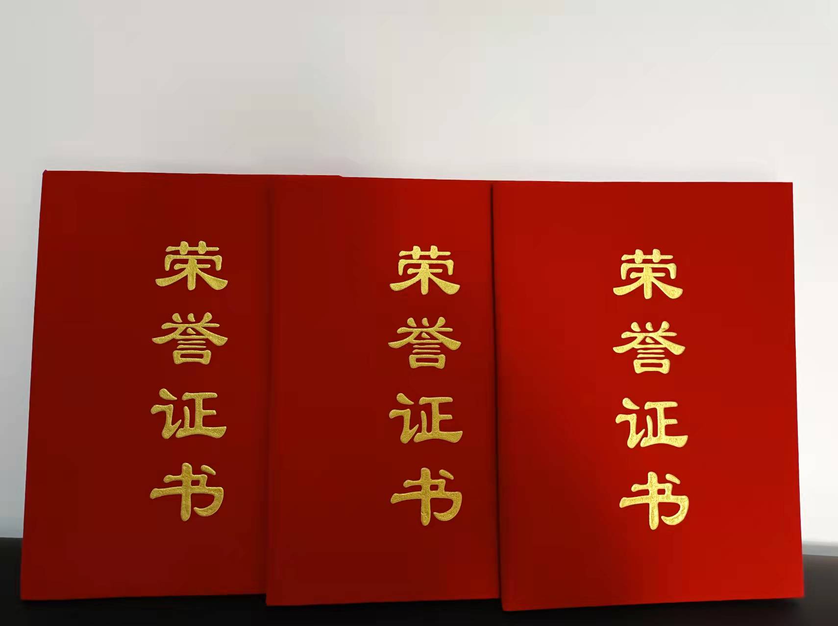 荣誉证书2.jpg