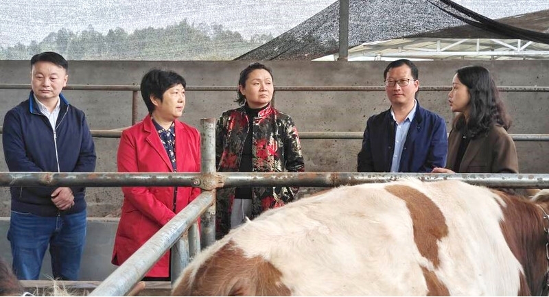1648431816346577.jpg 图片2.jpg